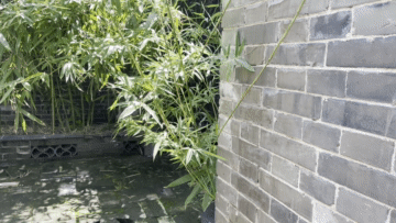 569fc17a3d58305ec83739e6e2f44197.gif 569fc17a3d58305ec83739e6e2f44197.gif